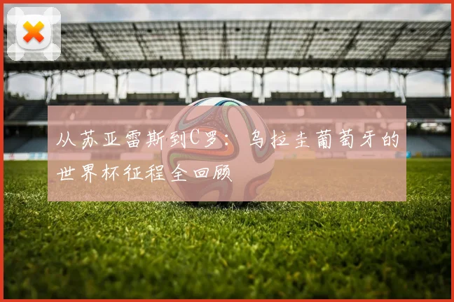 从苏亚雷斯到C罗：乌拉圭葡萄牙的世界杯征程全回顾
