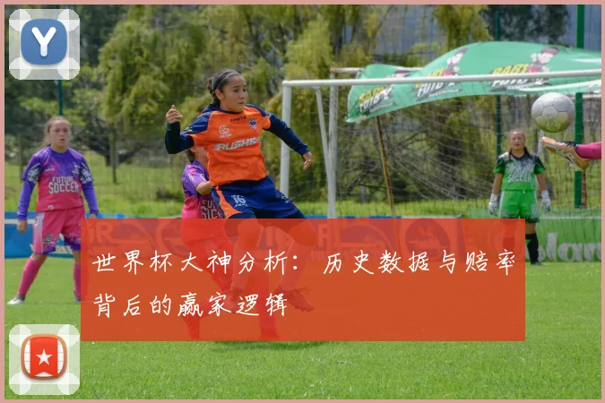 世界杯大神分析:历史数据与赔率背后的赢家逻辑