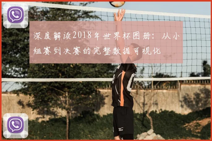 深度解读2018年世界杯图册：从小组赛到决赛的完整数据可视化