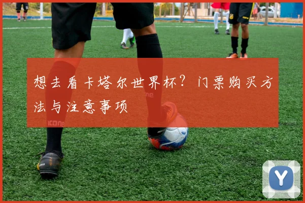 想去看卡塔尔世界杯？门票购买方法与注意事项