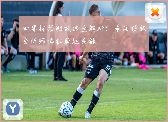世界杯预测数据全解析:专访顶级分析师揭秘获胜关键
