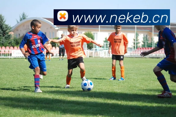 多媒体互动体验